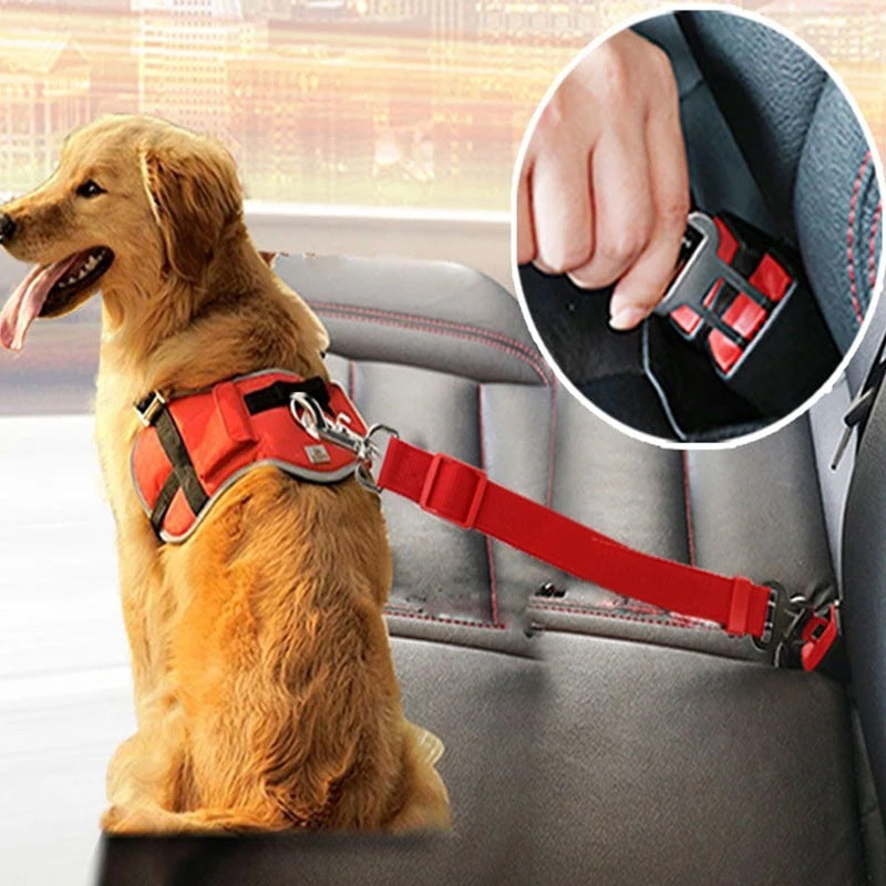 Cat & Dog Car Seat Belt