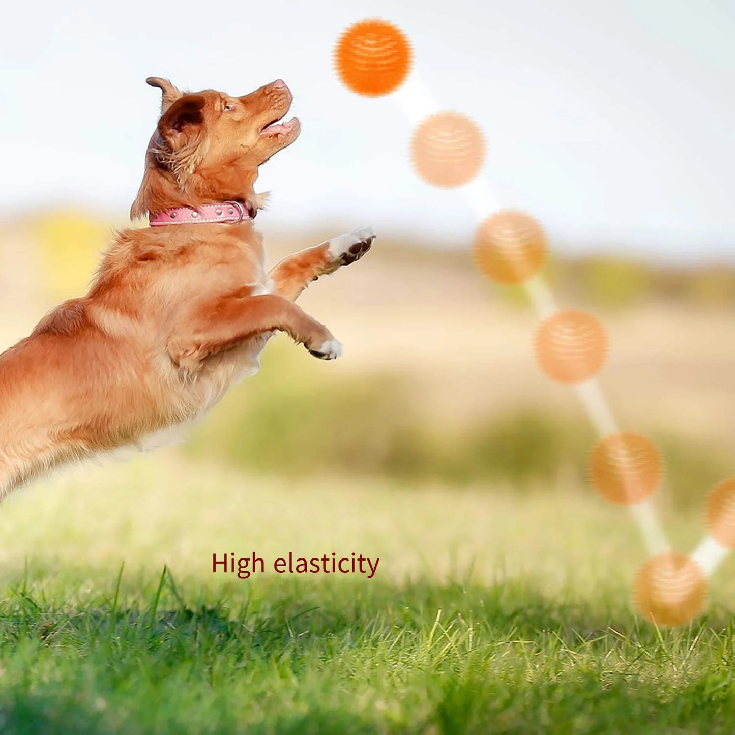 Dog Toy Bouncy Ball Tooth Cleaning Ball TPR Training Pet Teeth Chewing Toy