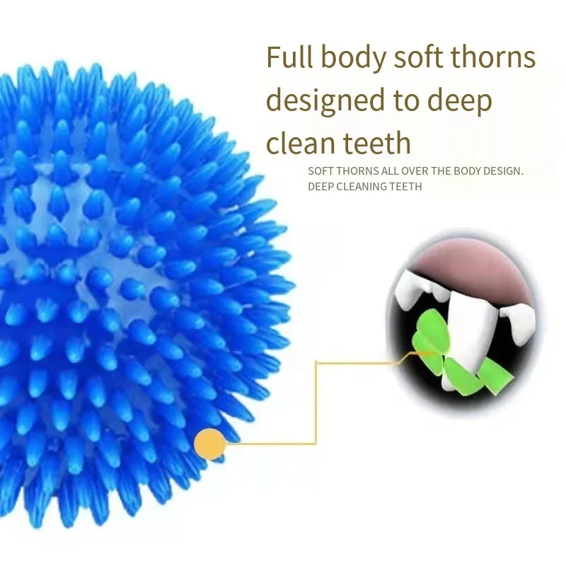 Dog Toy Bouncy Ball Tooth Cleaning Ball TPR Training Pet Teeth Chewing Toy