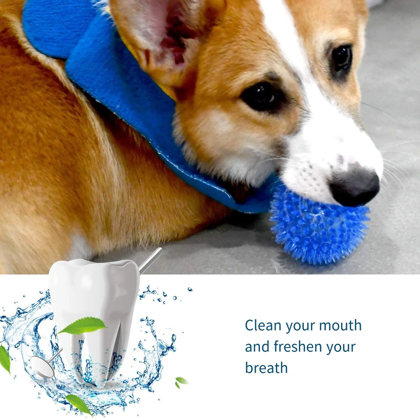 Dog Toy Bouncy Ball Tooth Cleaning Ball TPR Training Pet Teeth Chewing Toy